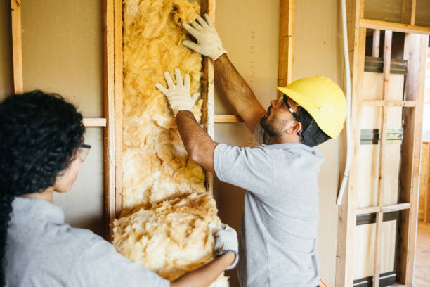 Reliable Panthersville, GA Insulation Solutions